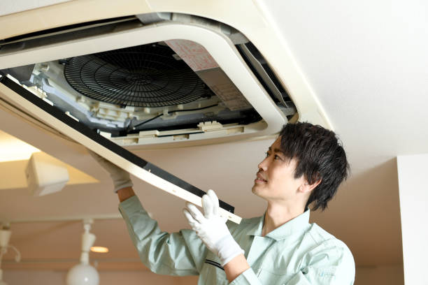 Best Air Duct Mold Removal  in Boulder Creek, CA