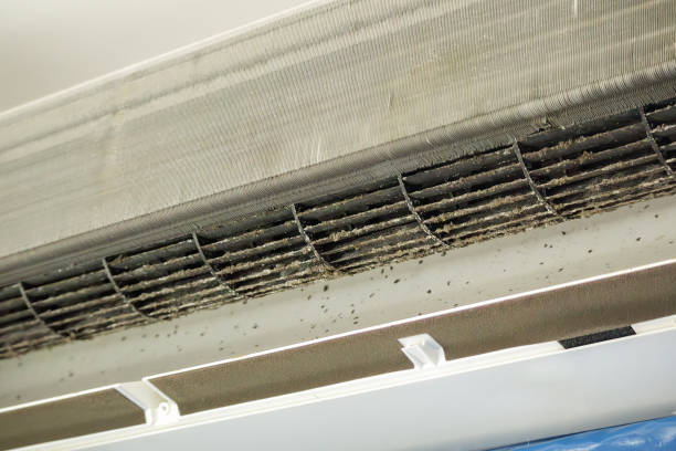 Best Affordable HVAC Duct Cleaning  in Boulder Creek, CA